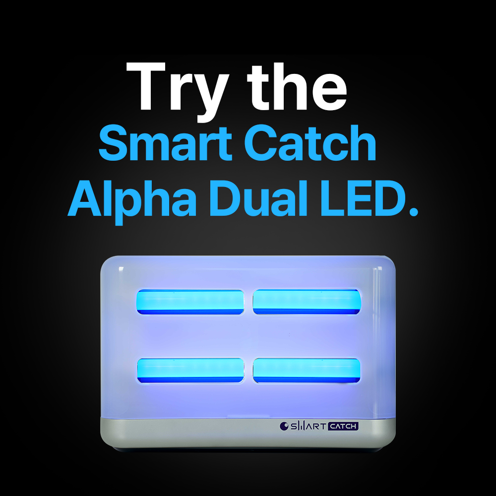 Indoor insect trap Smart Smart Catch ALPHA DUAL LED
