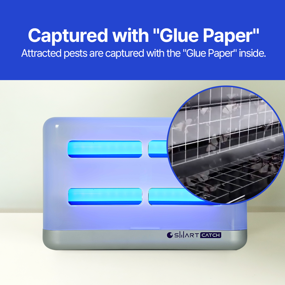 Indoor insect trap Smart Smart Catch ALPHA DUAL LED